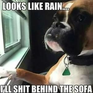 Meet your Posher, Notur